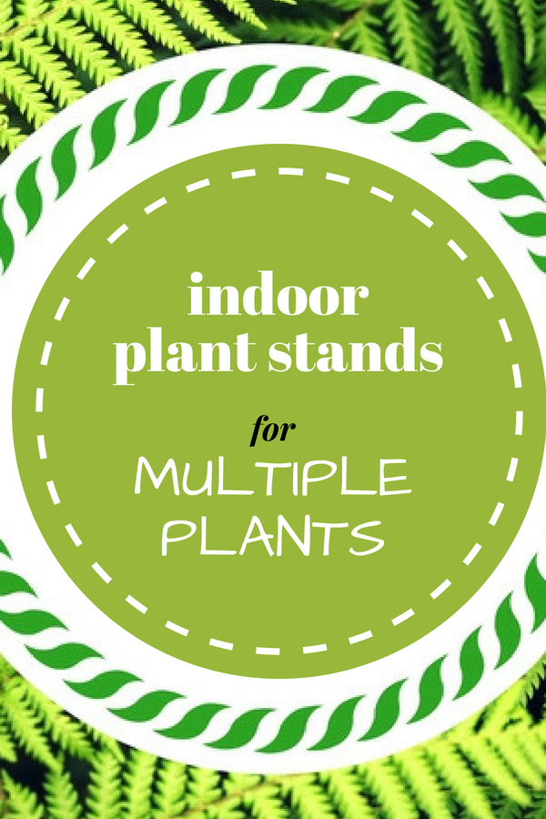 Indoor Plant Stands for Multiple Plants