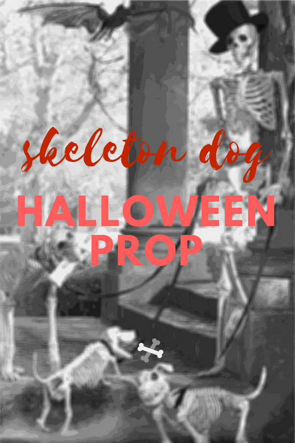 Skeleton Dog Halloween Prop