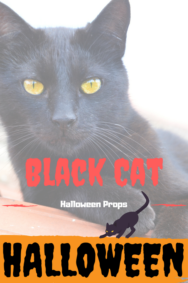 Black Cat Halloween Prop