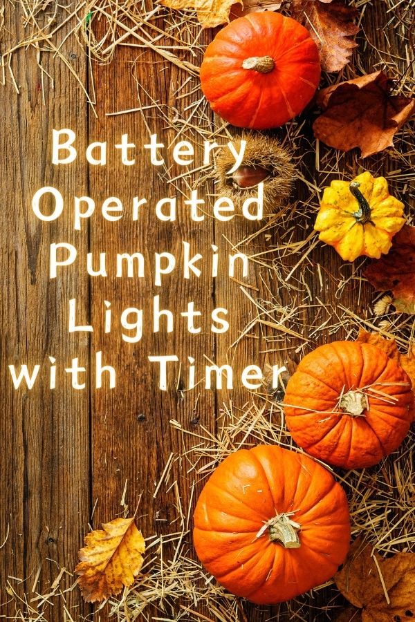 Battery Operated Pumpkin Lights with Timer