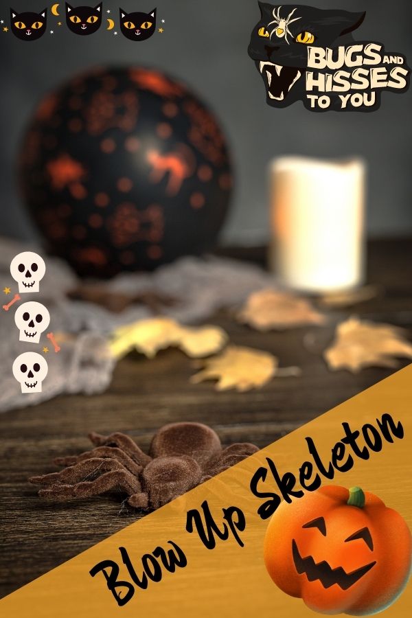 Blow Up Halloween Skeleton for Outdoor Decor